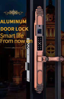 Zinc Alloy Fingerprint Door Lock with 5 Unlock Ways for Apartments Offices