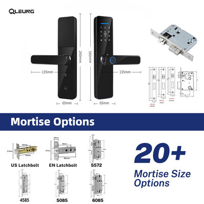 Qleung S811 Tuya Smart Door Lock