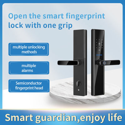 Tuya Wifi TTlock স্মার্ট ফিঙ্গারপ্রিন্ট লক ব্লকিও ফিঙ্গারপ্রিন্ট এন্ট্রি ডোর লক