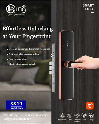 6068 মর্টিস ফিঙ্গারপ্রিন্ট ডোরলক Tuya TTlock Wifi APP ঐচ্ছিক