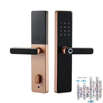 6068 Mortise TTlock Wifi Tuya Door Lock With Fingerprint And Password (ফিংগারপ্রিন্ট এবং পাসওয়ার্ড সহ মর্টিজ টি-লক ওয়াইফাই টুয়া ডোর লক)