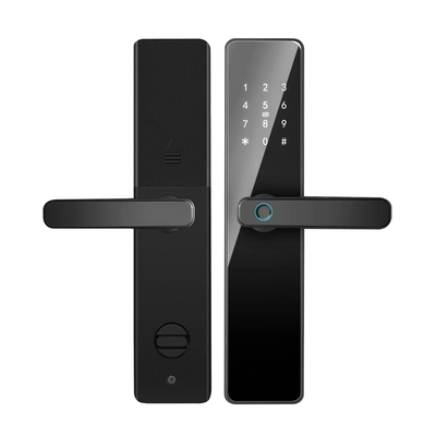 S819 ডিজিটাল স্মার্ট হোম ডোর লক ওয়াইফাই সক্ষম Tuya TTlock & ফিঙ্গারপ্রিন্ট পাসওয়ার্ড কী কার্ড লক সঙ্গে