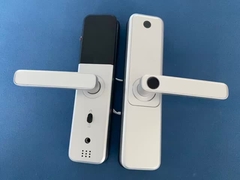 ৮০২ম্যাক্স সিলভার