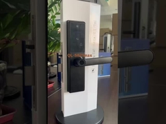 S821max ক্যাটিয়ার